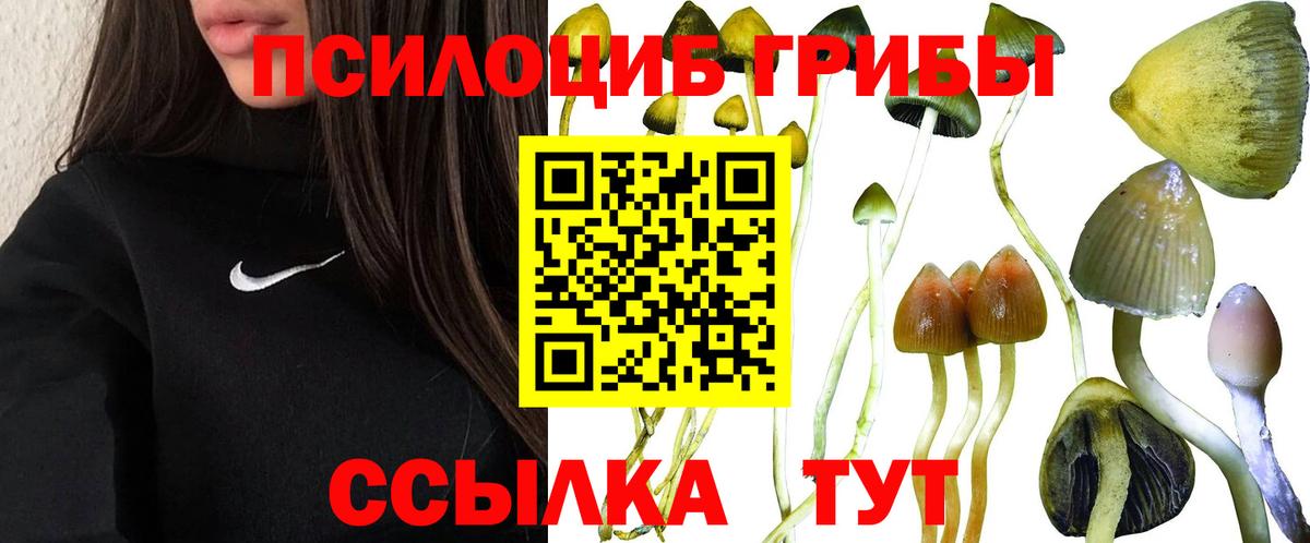 Туапсе  Псилоцибиновые грибы прущие грибы  Псилоцибиновые грибы MAGIC MUSHROOMS  Вход с VPN 